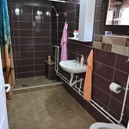 Apartment Oplenacki Smestaj Milica *